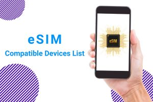 India eSIM compatible device list